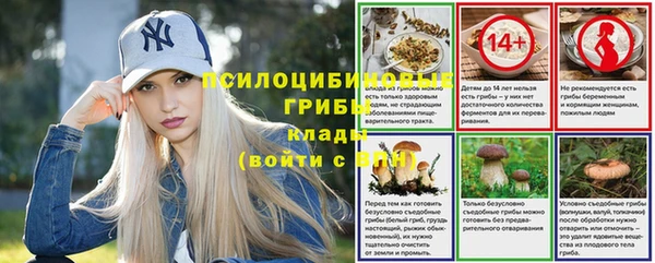 шишки Беломорск