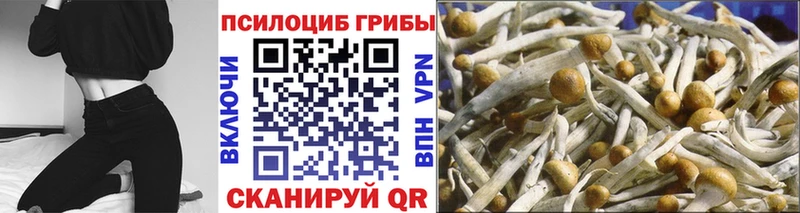 мориарти официальный сайт  где купить наркотик  Ува  Галлюциногенные грибы мицелий 